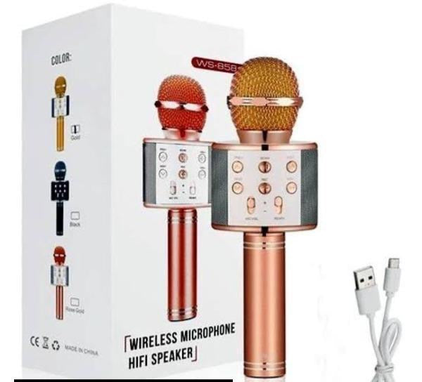 Plastic Mic With Speaker.