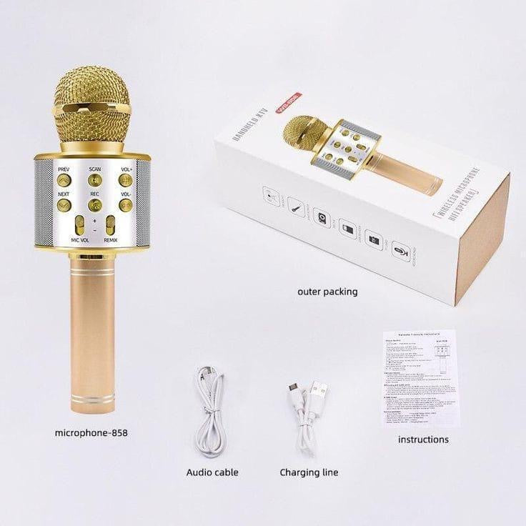Plastic Mic With Speaker.