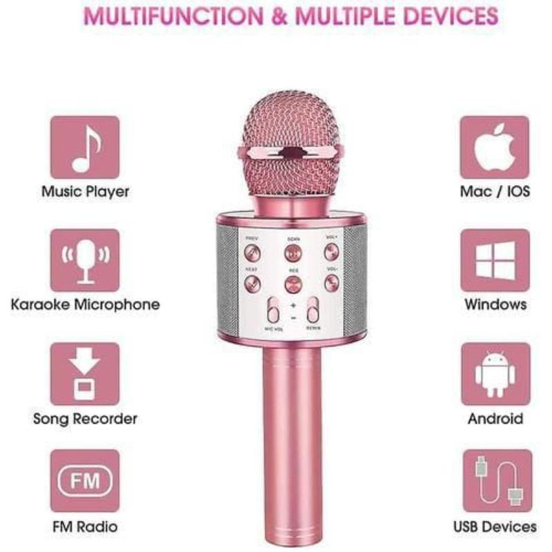 Plastic Mic With Speaker.