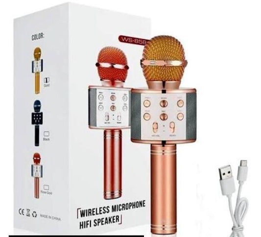 Plastic Mic With Speaker.