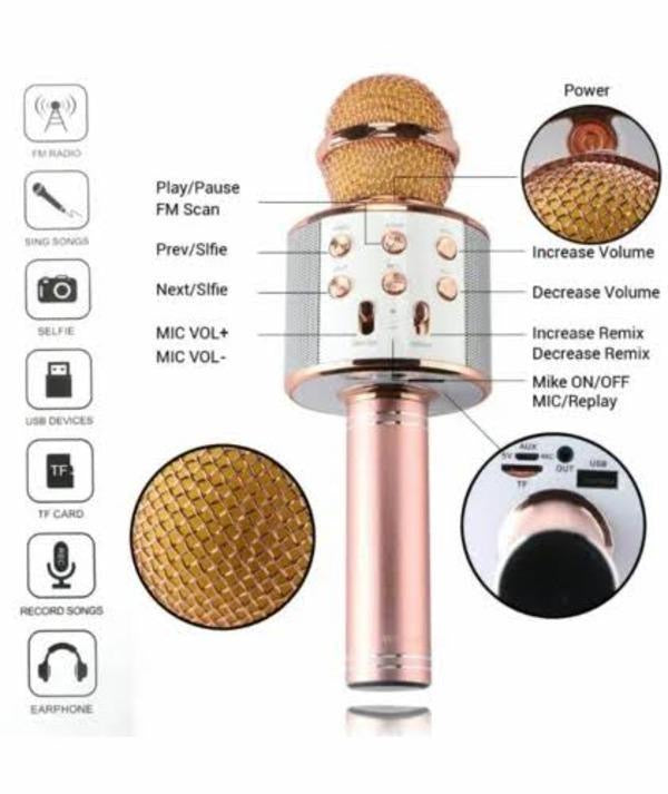 Plastic Mic With Speaker.