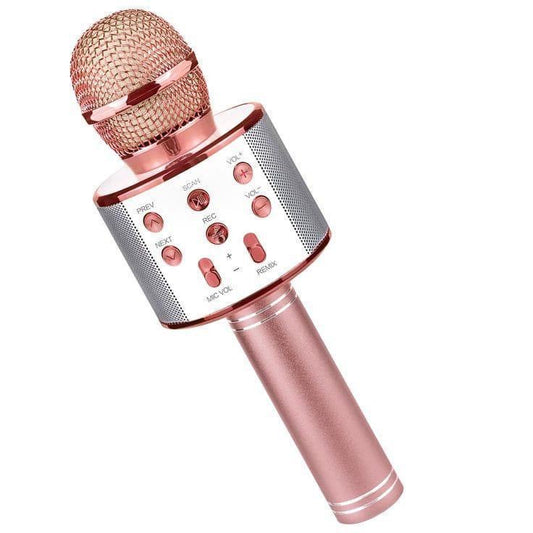 Plastic Mic With Speaker.